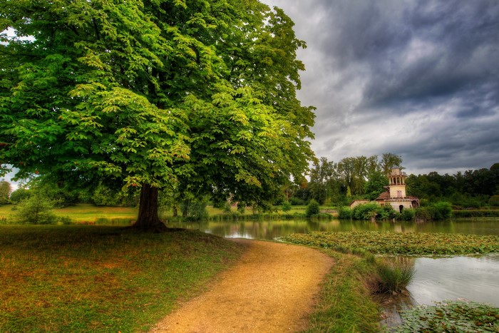 Park in France with a large tree and a lake