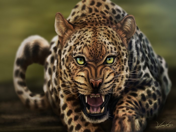 Leopard with green eyes roaring