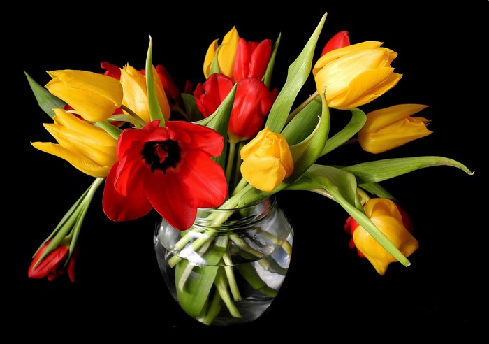 Red and yellow tulips in a glass vase