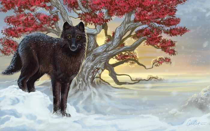 Black wolf in snow near a tree with red leaves