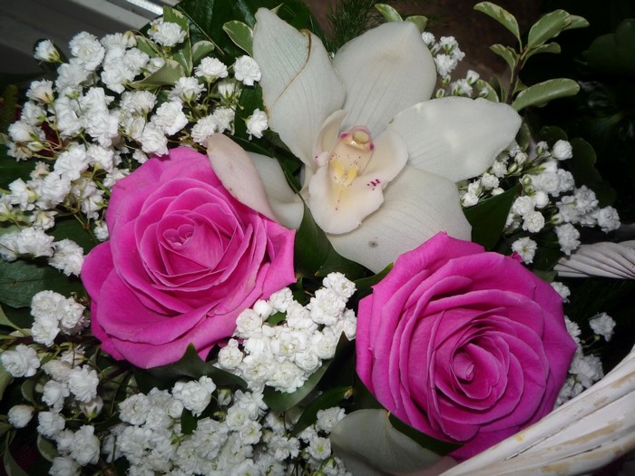 Pink Roses and White Orchid Bouquet