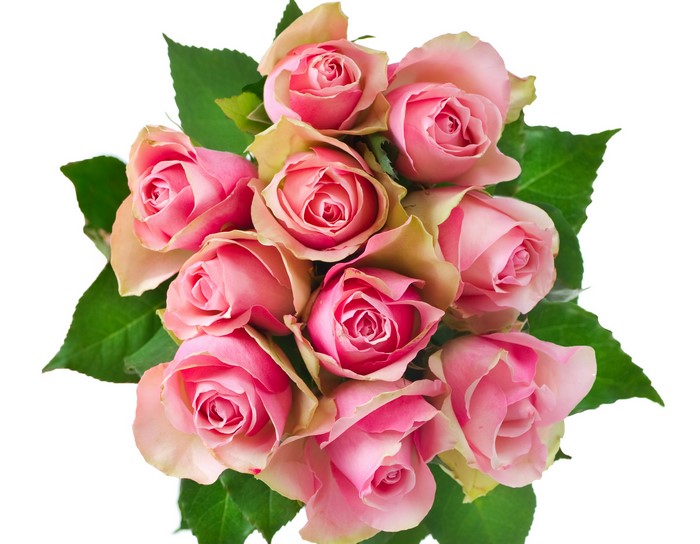 Bouquet of Pink Roses