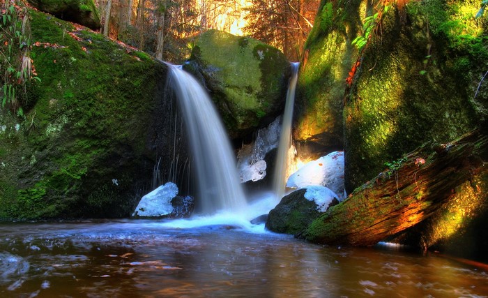 Mossy rocks and waterfalls in a forest
