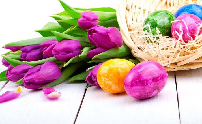Easter Tulips and Painted Eggs in a Basket