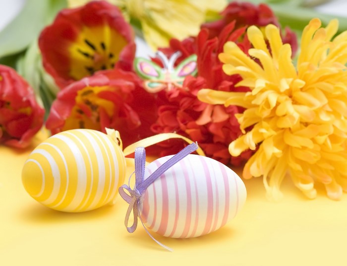 Easter eggs and tulips on yellow background