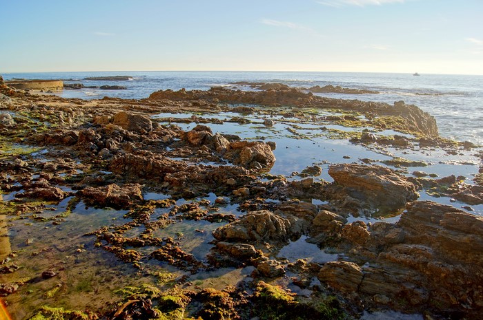 Rocky Coastline with Tide Pools and Ocean