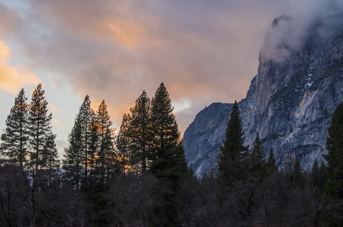 Yosemite National Park, California Trees and Mountains