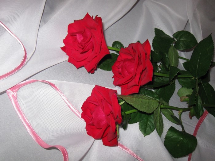 Three red roses on white fabric with pink trim