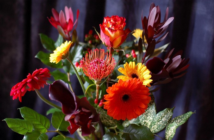 Bouquet of assorted flowers