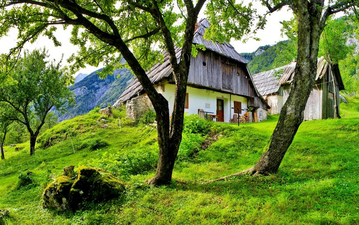 Traditional houses on a grassy hillside in Slovenia
