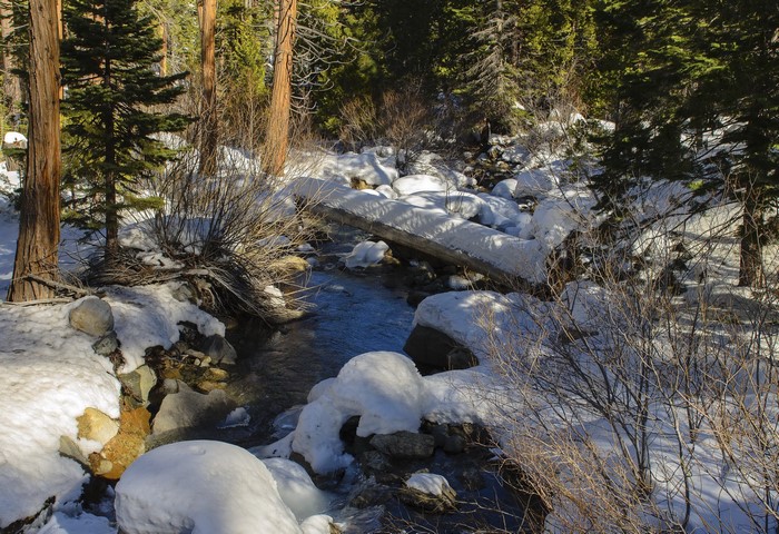 Forest stream with snow and fallen log