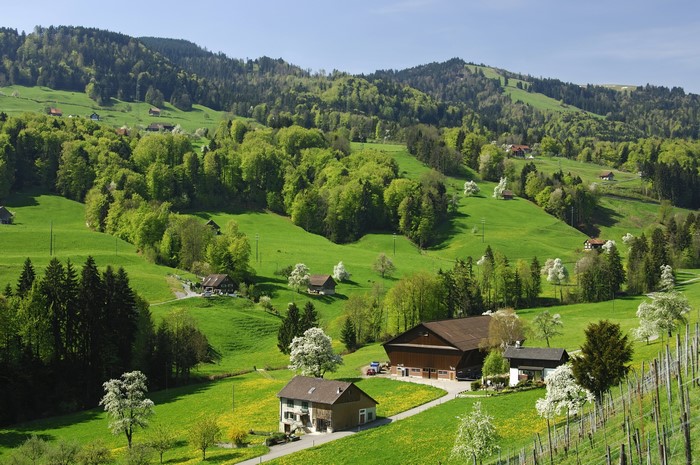 Green rolling hills with houses and trees in Switzerland