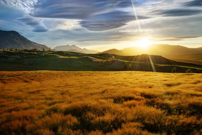 Golden field at sunset with mountains and sun rays
