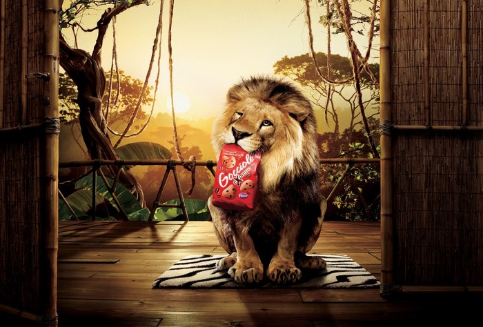 Lion holding Gocciole cookies in jungle setting