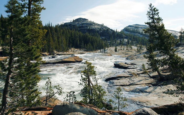 River flowing through Yosemite National Park, California