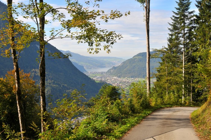 Road through mountains to Wolfenschiessen, Switzerland