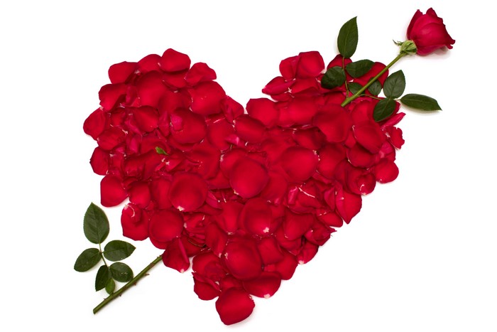 Heart shape made of red rose petals with a rose stem