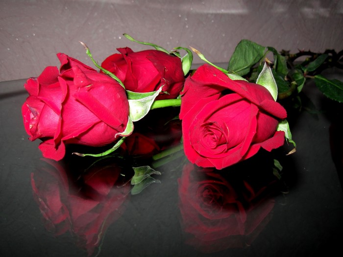 Three red roses on a reflective surface