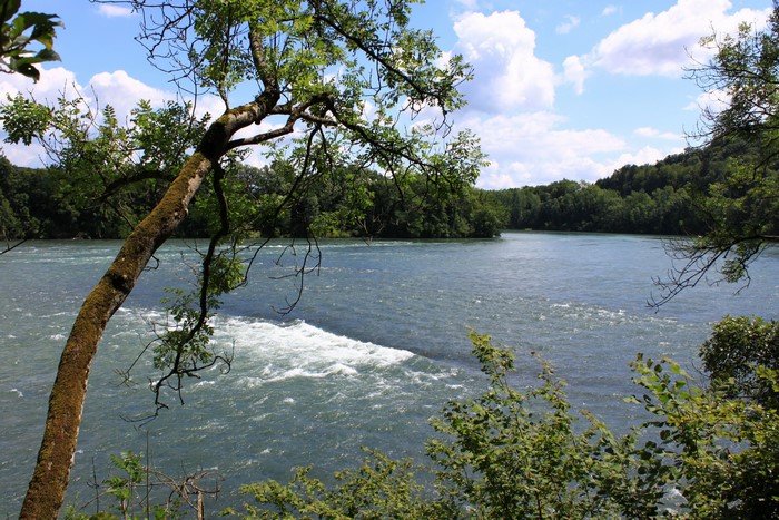 Rhine River rapids near Rietheim, Switzerland