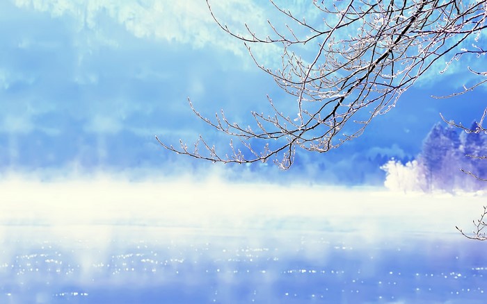 Winter scene with frosted branches over foggy water