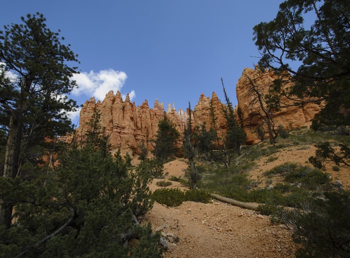 Bryce Canyon Hoodoos, Utah, USA