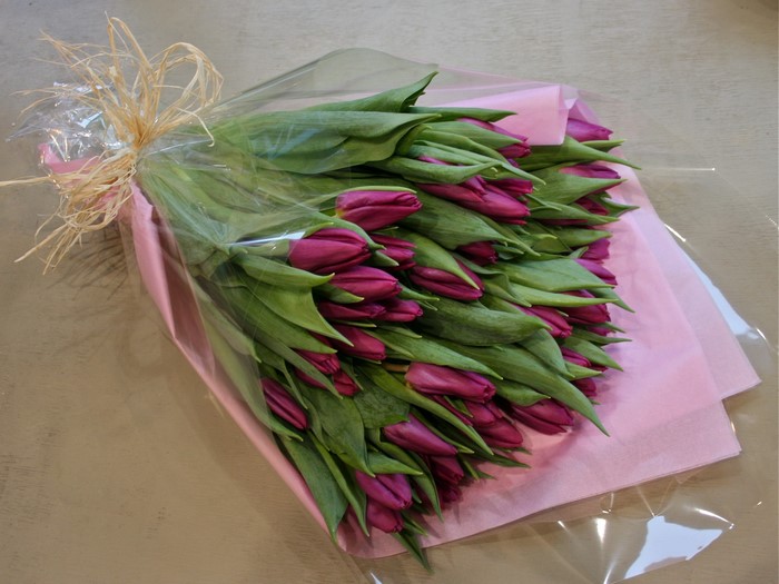 Bouquet of pink tulips wrapped in plastic