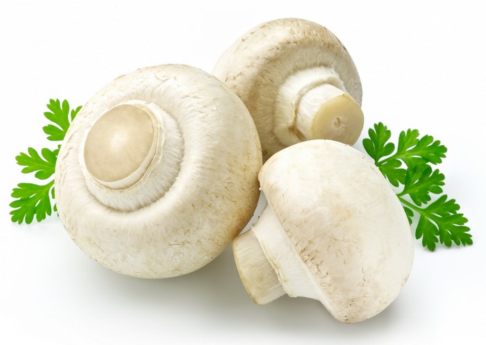 Three white champignon mushrooms with parsley