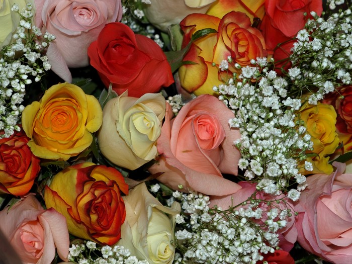 Bouquets of Roses