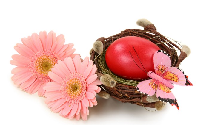 Easter nest with red egg, pink gerberas, and butterfly