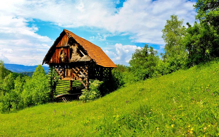 Wooden structure on a grassy hill in Slovenia