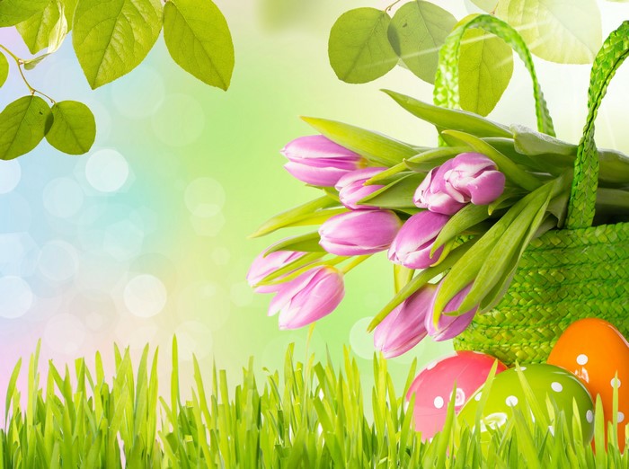 Easter Tulips and Eggs in Grass