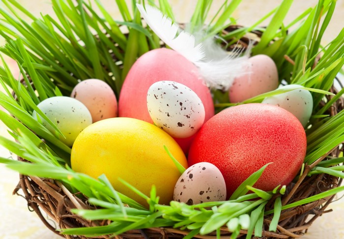Easter eggs in a nest with grass and a feather