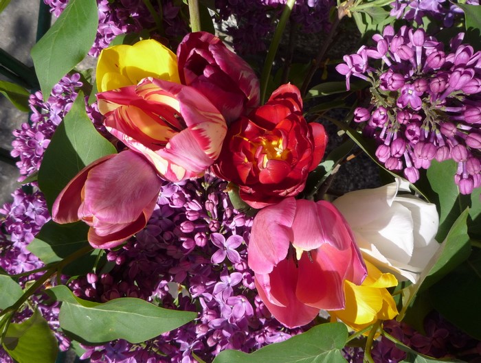 Bouquet of Tulips and Lilac Flowers
