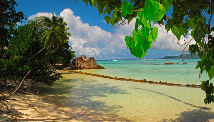 Tropical beach with palm trees and granite boulders in Seychelles