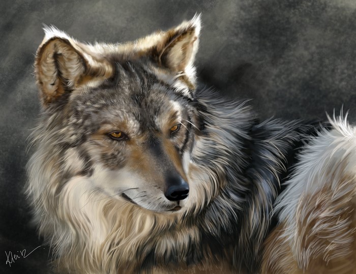 Painting of a wolf looking to the side