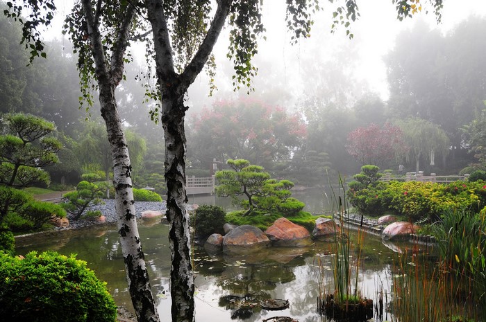 Earl Burns Miller Japanese Garden with Pond in California