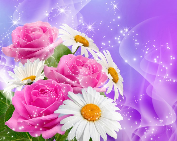 Pink roses and white daisies with sparkling lights
