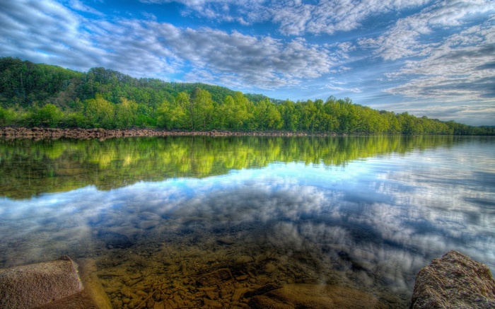 Calm lake reflecting trees and sky
