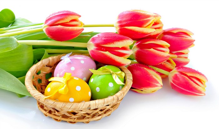 Easter Tulips and Decorated Eggs in a Basket