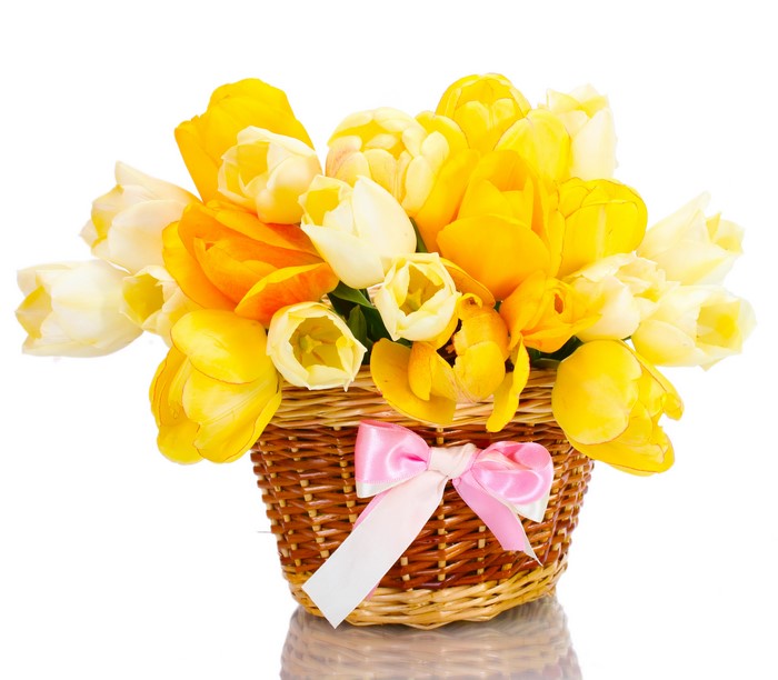 Yellow Tulips in a Wicker Basket with Pink Bow