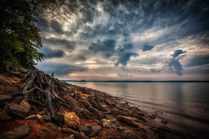 Sidney Lanier Lake with Dramatic Clouds and Tree Roots