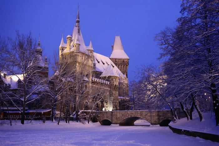 Vajdahunyad Castle in Budapest, Hungary during winter