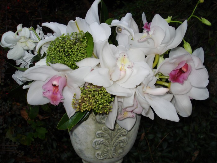 White orchids in a decorative vase