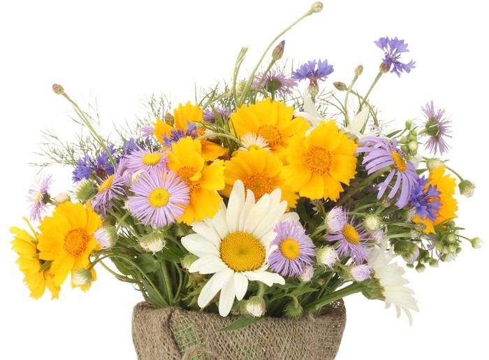 Bouquet of wildflowers with daisies and cornflowers