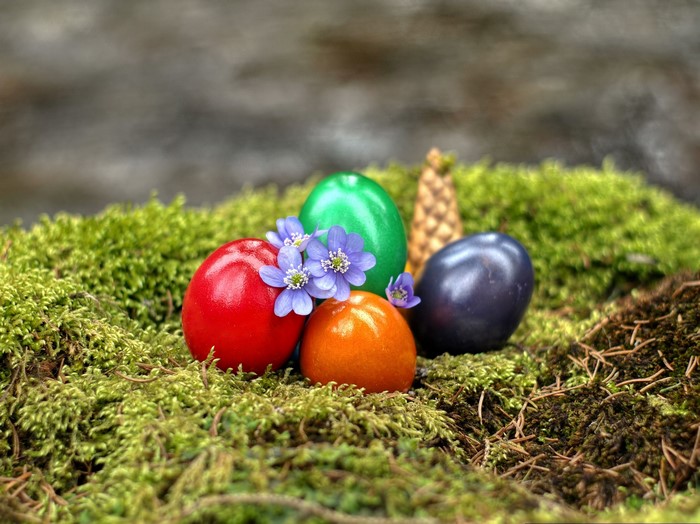 Easter Eggs on Moss with Flowers