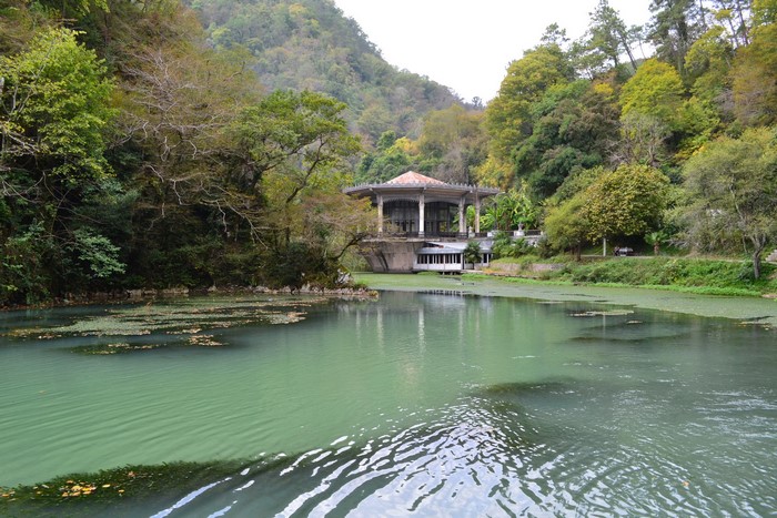 Abandoned building by a lake in a forest
