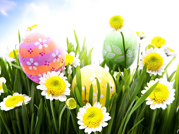 Easter eggs and daisies in grass