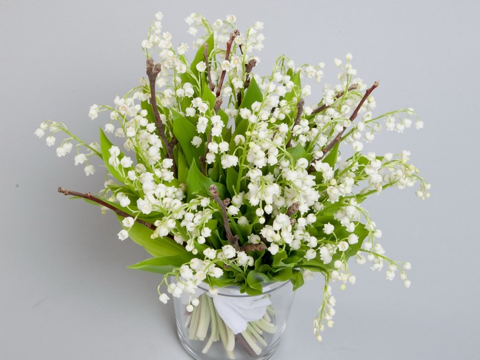 Bouquet of Lily of the Valley flowers in a vase