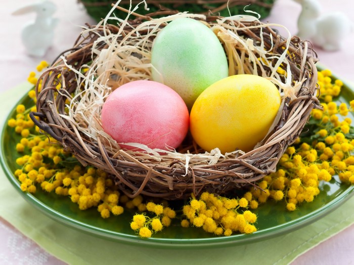 Easter eggs in a nest with yellow flowers