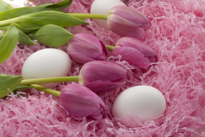 Easter Tulips and Eggs in Pink Shredded Paper